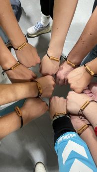 milladiesii armbänder